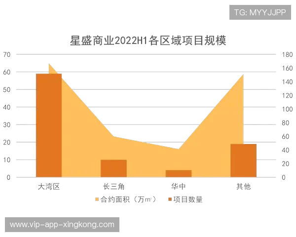 球队年度财报显示商业运营稳步增长引投资者关注，球队商业价值